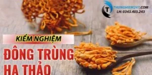 Dịch Vụ Thử Nghiệm Sản Phẩm Nhanh