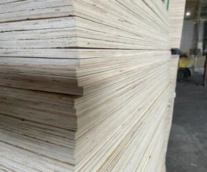 Công Ty TNHH Asian Wood