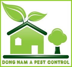Công Ty TNHH Trừ Mối Và Côn Trùng Đông Nam á