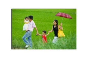 Luật Dragon – Công Ty Luật TNHH Dragon