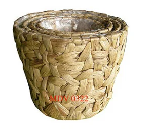 Công Ty TNHH MTV Mây Đất Việt