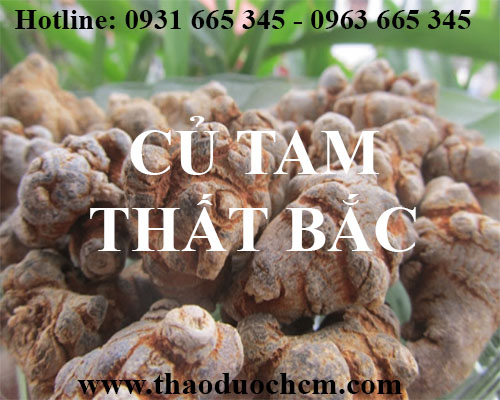 Công Ty TNHH Trà Thảo Dược Thanh Bình