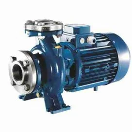 Công Ty Cổ Phần An Vĩnh Phát Việt Nam