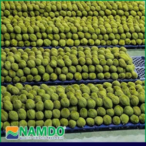 Nông Sản Nam Đô – Công Ty Cổ Phần Nông Sản Nam Đô