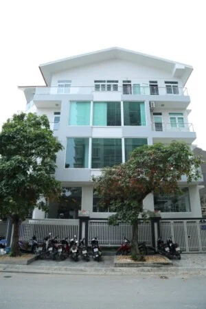 Công Ty TNHH Xuất Nhập Khẩu Trường Việt