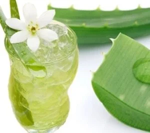 Nha Đam Hồng Nhật – Công Ty TNHH Dệt May Xuất Khẩu Hồng Nhật