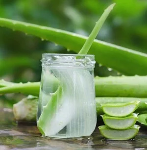 Nha Đam Hồng Nhật – Công Ty TNHH Dệt May Xuất Khẩu Hồng Nhật