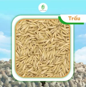 Viên Nén Gỗ Phong Thái Thuận – Công Ty TNHH Phong Thái Thuận