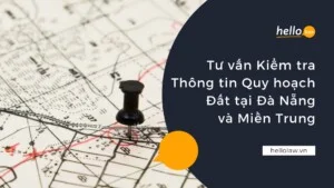 Hello Law – Văn Phòng Luật Sư Đà Nẵng