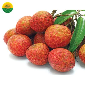 Công Ty CP AMEII Việt Nam