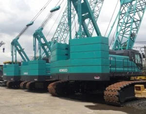 Công Ty TNHH Thương Mại Dịch Vụ Phụng Nghĩa