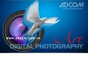 Công Ty TNHH Quảng Cáo Và Truyền Thông A&C