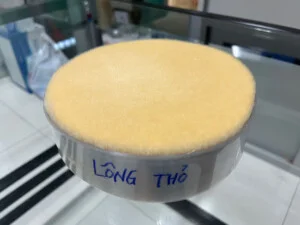 Lông Heo, Lông Thỏ Cọ Sơn Phúc Tuyền – Công ty TNHH MTV TM Phúc Tuyền