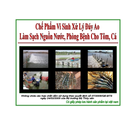 Công Ty TNHH Vi Sinh Môi Trường