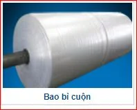 Công Ty TNHH Cổ Phần Bao Bì Nhựa Thiên Hà