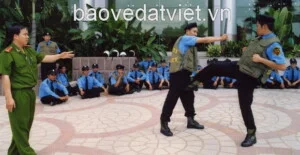 Công Ty TNHH Dịch Vụ Bảo Vệ Đất Việt – CN Tiền Giang