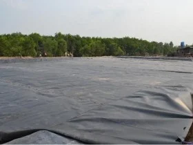 Công Ty TNHH Bạt Nhựa Tân Lộc Phát