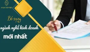 Luật Tân Việt – Công Ty TNHH Luật Tân Việt