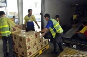 Vận Tải DC – Công Ty TNHH MTV DC