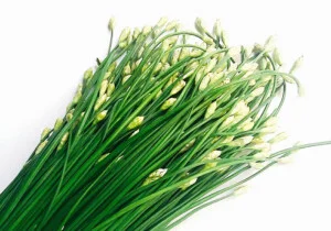 Thực Phẩm Dũng Hà – Công Ty TNHH Nông Sản Dũng Hà