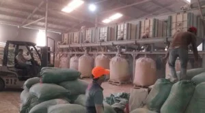Bột Gỗ Tấn Nhật – Công Ty TNHH Thương Mại Và Sản Xuất Tấn Nhật