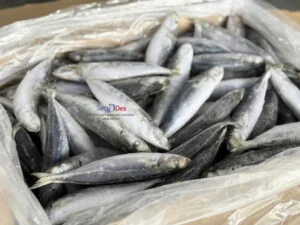 Thủy Hải Sản SEADEX – Công Ty TNHH SEADEX