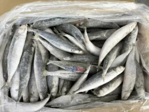 Thủy Hải Sản SEADEX – Công Ty TNHH SEADEX