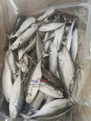 Thủy Hải Sản SEADEX – Công Ty TNHH SEADEX