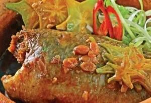 Công Ty TNHH Một Thành Viên Hảo Hòa Hiệp