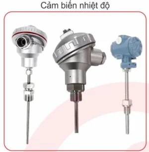 Công Ty Cổ Phần Tư Vấn Đầu Tư Và Thương Mại Thiên An