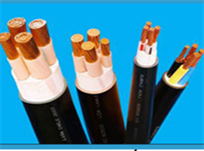 Công Ty TNHH Thiết Bị Điện Linh Chi