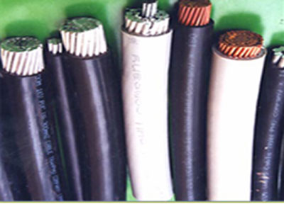 Công Ty TNHH Thiết Bị Điện Linh Chi