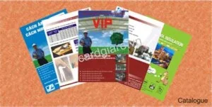 In Đức Mạnh – Công Ty TNHH In Đức Mạnh