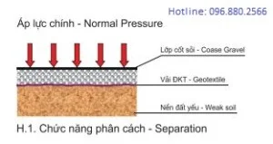 Chi Nhánh – Công Ty Cổ Phần WINBATA Việt Nam