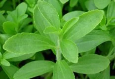 Công Ty TM Trà Thảo Dược Lê Nhân