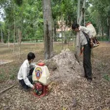 Công ty TNHH Trừ Mối Và Diệt Côn Trùng Trí Long