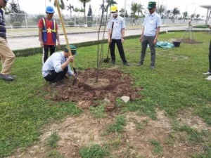 Dịch Vụ Cây Xanh Vĩnh Phúc – Công Ty TNHH Tư Vấn Xây Dựng Và Môi Trường Đô Thị Vĩnh Phúc