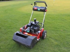 Cây Xanh Phú Cường – Công Ty TNHH Dịch Vụ Và Kỹ Thuật Phú Cường