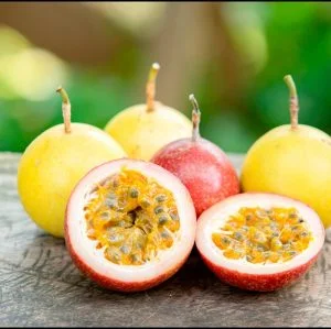 Trái Cây Sấy Đỉnh Nam – Công Ty TNHH Đầu Tư Đỉnh Nam