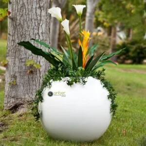 Chậu Hoa Composite Anber – Công Ty TNHH An Phước Khánh