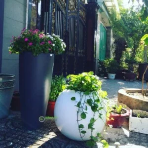 Chậu Hoa Composite Anber – Công Ty TNHH An Phước Khánh