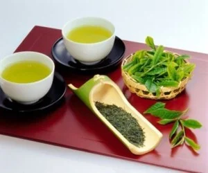 Chè Nhật Thức – Hợp Tác Xã Chè Nhật Thức