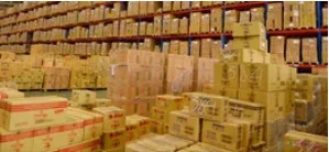 Hừng á Logistics – Công Ty TNHH Tiếp Vận Hừng á