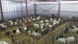 Cho Thuê Trang Trại S2 Vina – Công Ty TNHH S2 Vina