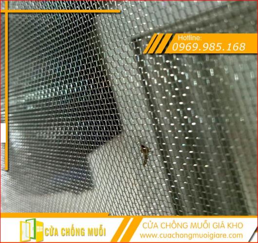 Cơ Sở Cửa Lưới Chống Muỗi Hoàng Gia Phát