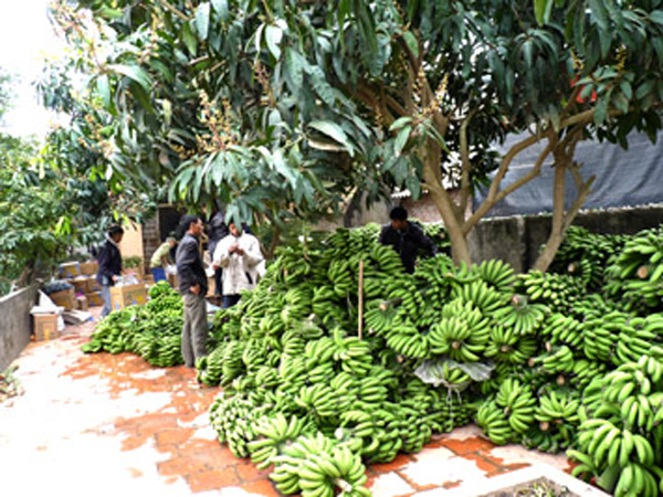 Công Ty TNHH Thuận Tâm Thành