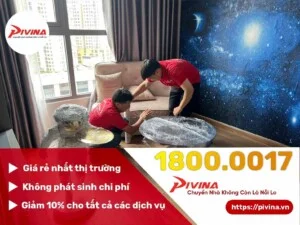 Công Ty Cổ Phần Tập Đoàn PI Việt Nam