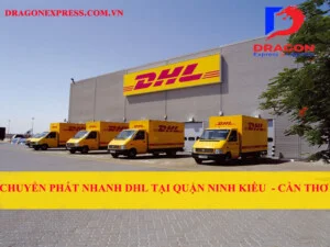 Chuyển Phát Nhanh Quốc Tế – Công Ty TNHH Chuyển Phát Quốc Tế Rồng Việt