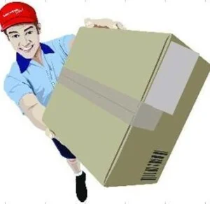Công Ty TNHH Dịch Vụ Vận Tải Đất Việt