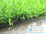 Công Ty TNHH Lê Hà Vi Na